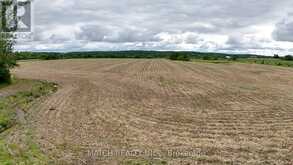 20250 17 HIGHWAY | Cobden Ontario | Slide Image Ten