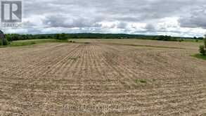 20250 17 HIGHWAY | Cobden Ontario | Slide Image Eight
