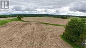 20250 17 HIGHWAY | Cobden Ontario | Slide Image Nine