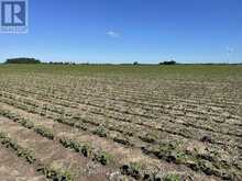 LT 26&27 THIRD CONCESSION LINE | Wheatley Ontario | Slide Image Two