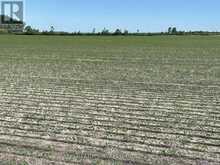 LT 26&27 THIRD CONCESSION LINE | Wheatley Ontario | Slide Image Nine