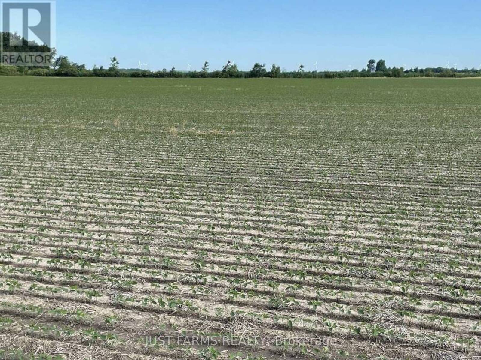 LT 26&27 THIRD CONCESSION LINE, Wheatley, Ontario N0P 2P0