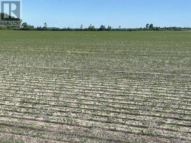 LT 26&27 THIRD CONCESSION LINE Wheatley Ontario, N0P 2P0 - Farm For Sale
