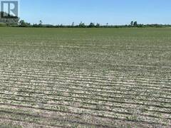 LT 26&27 THIRD CONCESSION LINE Wheatley Ontario, N0P 2P0