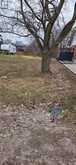1042 DEARNESS DRIVE | London Ontario | Slide Image Two