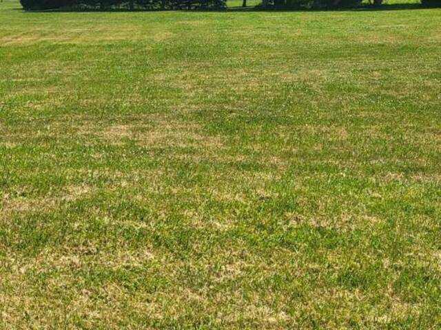 3172 QUEEN STREET Brooke-Alvinston Ontario, N0N 1K0 - Vacant Land For Sale