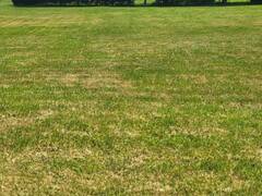 3168 QUEEN STREET Brooke-Alvinston Ontario, N0N 1K0