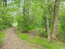 PT LT16 NORTH LUNENBURG ROAD W | South Stormont Ontario | Slide Image Six