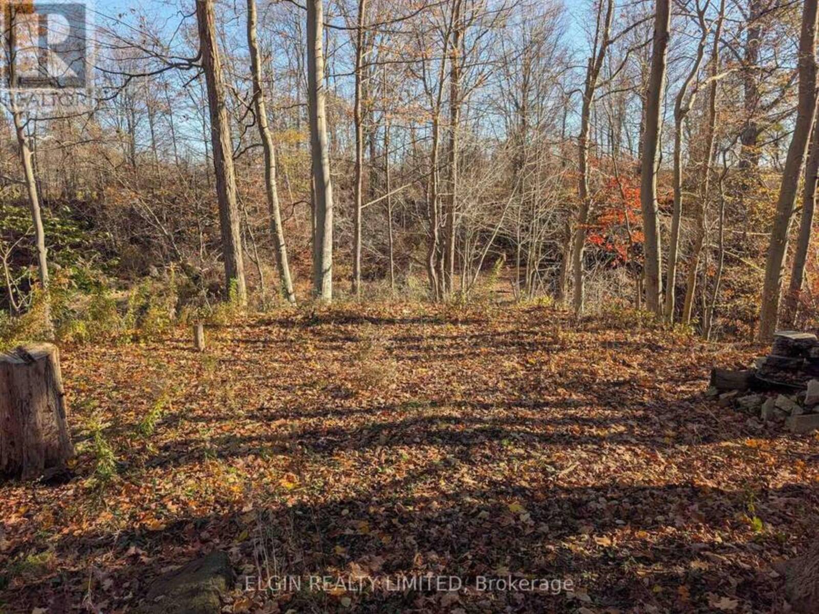 46420 METHODIST STREET, Central Elgin, Ontario N5P 3S8