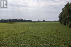 LOT 14 CONCESSION 7 | Waterford Ontario | Slide Image Nine