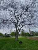 29860 IRISH SCHOOL ROAD N | Chatham-Kent Ontario | Slide Image Nine