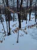 550 SHAWANAGA LAKE | Whitestone Ontario | Slide Image Thirty-five