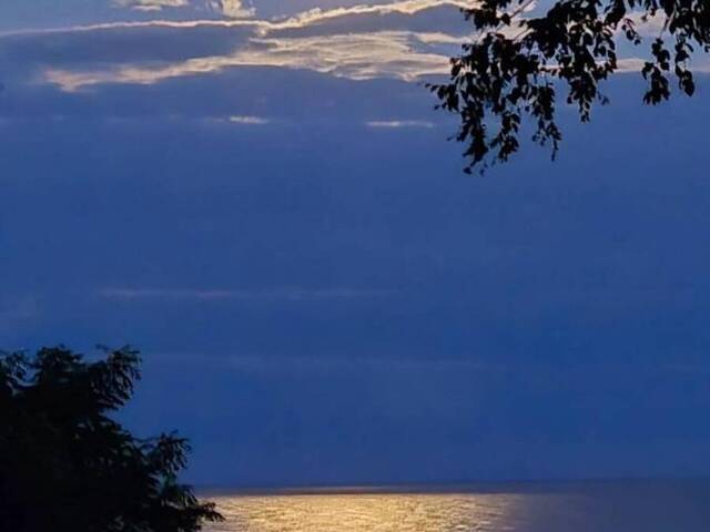 22499 GRAY LINE S West Elgin Ontario, N0L 2C0 - 1 Bedroom Waterfront Home For sale