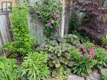 39 - 145 NORTH CENTRE ROAD | London Ontario | Slide Image Thirty-one