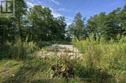4191 CARRIAGE ROAD | Strathroy-Caradoc Ontario | Slide Image Thirty-two