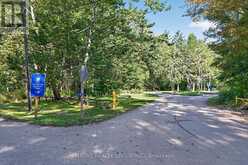 6 ADDISON STREET | Bayham Ontario | Slide Image Thirty-two