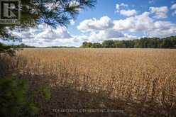PT LT 113 CULLODEN ROAD | Bayham Ontario | Slide Image Thirty-one