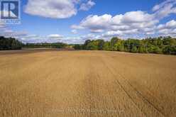 PT LT 113 CULLODEN ROAD | Bayham Ontario | Slide Image Twenty-eight