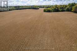 PT LT 113 CULLODEN ROAD | Bayham Ontario | Slide Image Seventeen