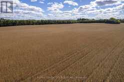 PT LT 113 CULLODEN ROAD | Bayham Ontario | Slide Image Nineteen