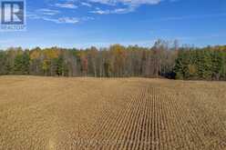 PT LT 140 & 141 COLONEL TALBOT ROAD | Tillsonburg Ontario | Slide Image Ten