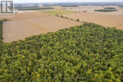 LT 23-25 CON 10 HOLT LINE | Wallaceburg Ontario | Slide Image Twelve
