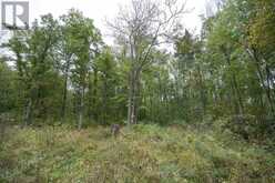 LT 23-25 CON 10 HOLT LINE | Wallaceburg Ontario | Slide Image Seventeen
