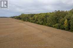 LT 23-25 CONC 10 HOLT LINE | Wallaceburg Ontario | Slide Image Eleven