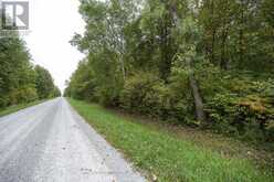 LT 23-25 CONC 10 HOLT LINE | Wallaceburg Ontario | Slide Image Twenty