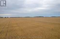 LT 23-25 CONC 10 HOLT LINE | Wallaceburg Ontario | Slide Image Twenty-eight
