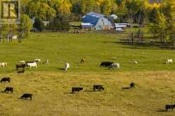98 WHITTAKER ROAD | Thunder Bay Ontario | Slide Image Nine