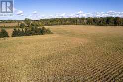 20952 REBECCA ROAD | Thorndale Ontario | Slide Image Six