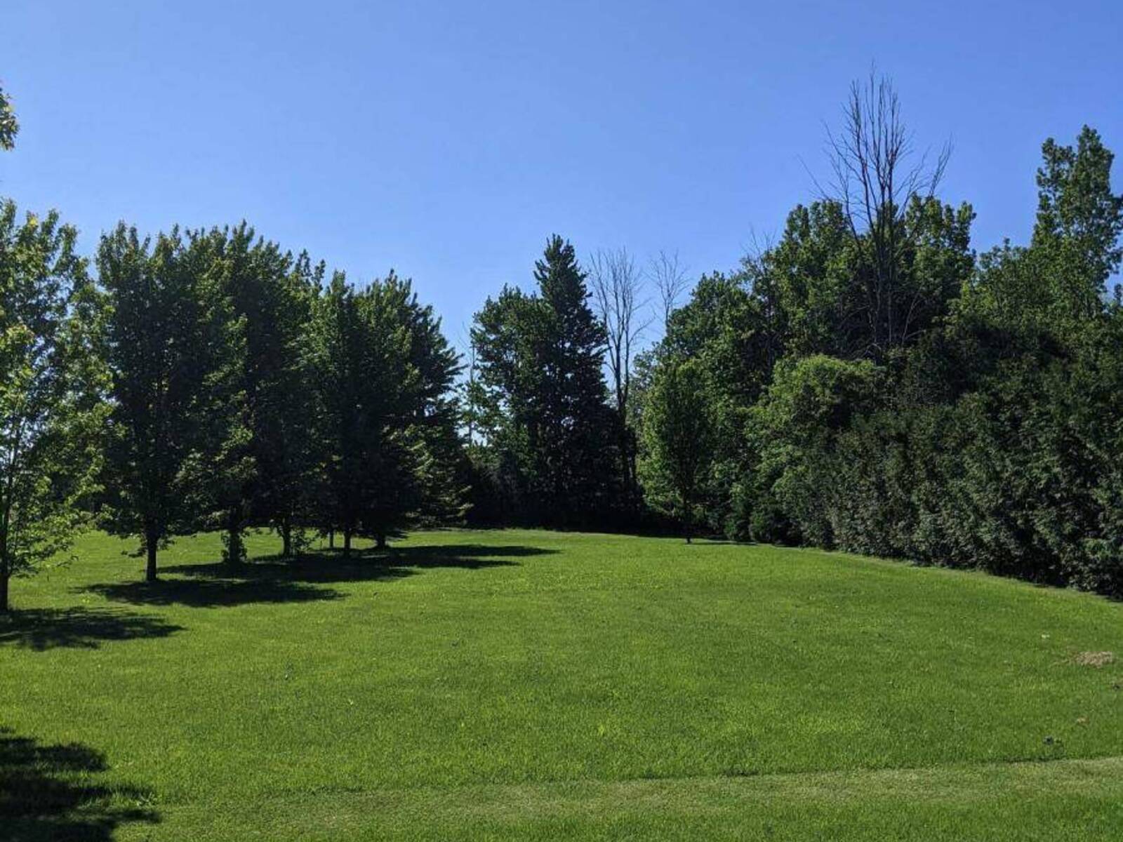 PT1 PETER STREET, Strathroy-Caradoc, Ontario N0L 1T0