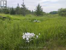 354451 HWY 624 | Englehart Ontario | Slide Image Twenty-five