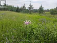 354451 HWY 624 | Englehart Ontario | Slide Image Twenty-seven
