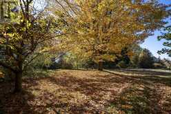 20443 PURPLE HILL ROAD | Thorndale Ontario | Slide Image Fifteen
