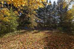 20443 PURPLE HILL ROAD | Thorndale Ontario | Slide Image Sixteen