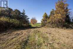 20443 PURPLE HILL ROAD | Thorndale Ontario | Slide Image Twenty-three