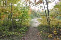 19-45 SPRY LAKE Road | Georgian Bluffs Ontario | Slide Image Ten