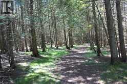 19-45 SPRY LAKE Road | Georgian Bluffs Ontario | Slide Image Five