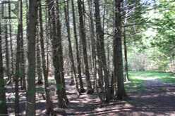 19-45 SPRY LAKE Road | Georgian Bluffs Ontario | Slide Image Six