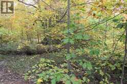 19-45 SPRY LAKE Road | Georgian Bluffs Ontario | Slide Image Seven