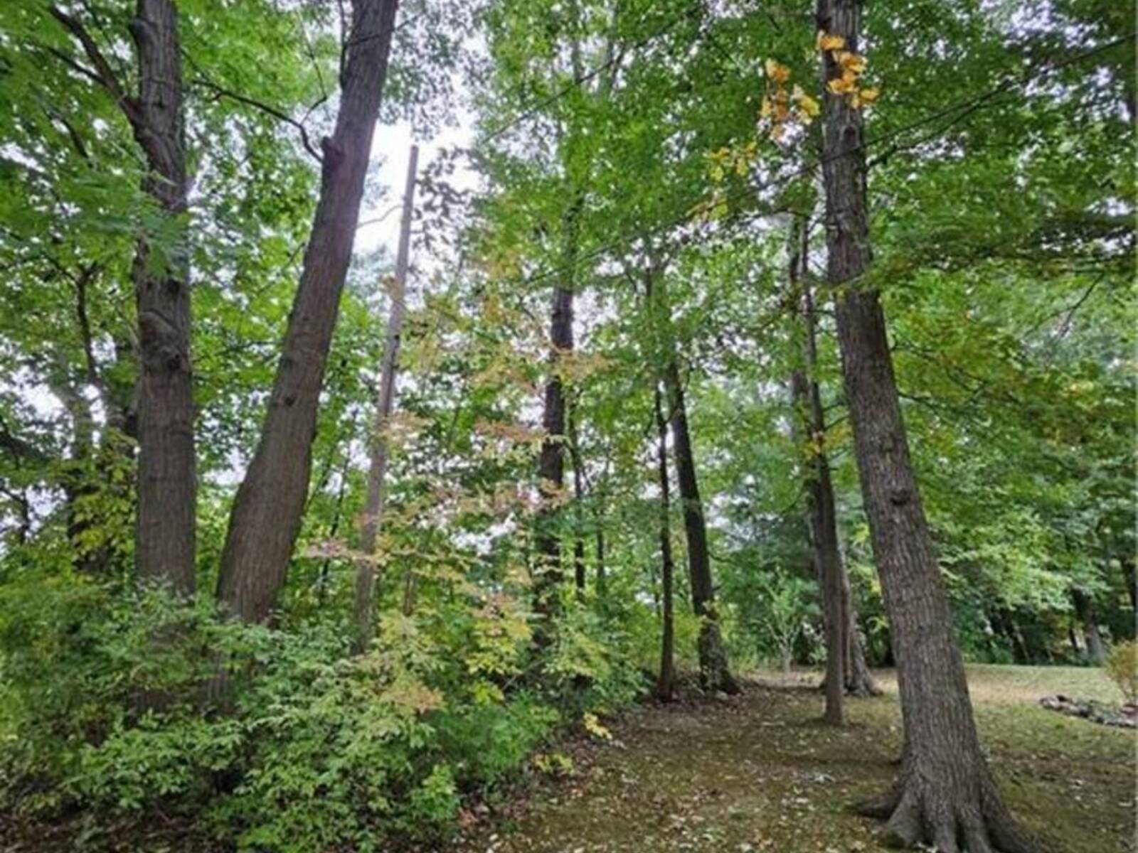 LOT 120 MOHAWK Avenue, Fort Erie, Ontario L2A 4R5