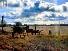 1686 10TH CONCESSION Road | Langton Ontario | Slide Image Thirty-eight