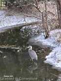 2490 GOVERNORS Road Unit# 12 Pondview | Ancaster Ontario | Slide Image Twenty-five