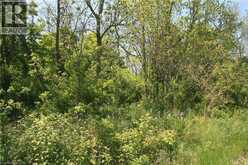 6349A PLANK Road | Bayham Ontario | Slide Image Nine