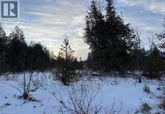 147 WILSON Drive | Georgian Bluffs Ontario | Slide Image Five