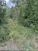 PT LOT 7 WEST IPPERWASH Road | Lambton Shores Ontario | Slide Image Ten