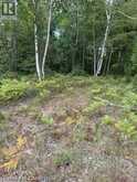 PT LOT 7 WEST IPPERWASH Road | Lambton Shores Ontario | Slide Image Twelve