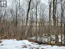 0 ECHO BAY Road | Dwight Ontario | Slide Image Nine